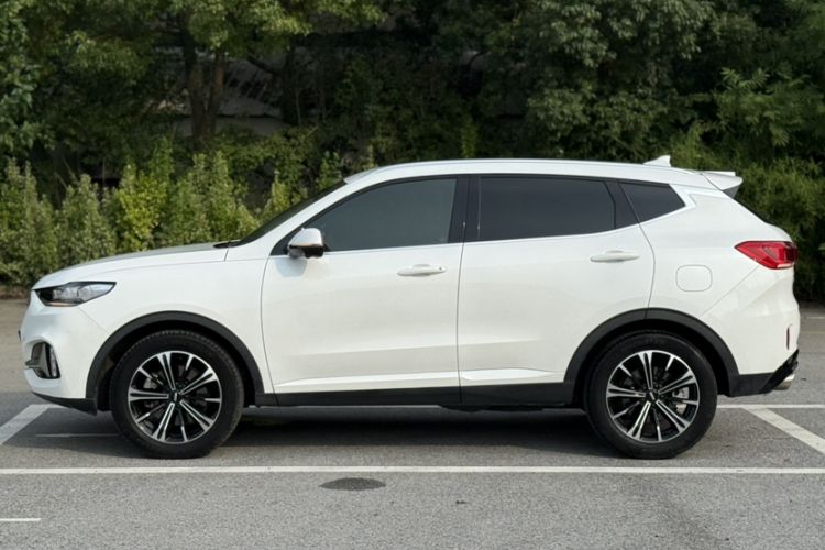 Used Wey VV6 2021 2.0T Two-Wheel Drive Smart Plus