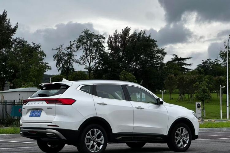 Used Haval H6 2021 National Trend Edition 1.5T Automatic Champion Version