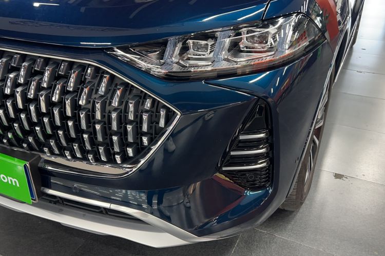 Used Wey Mocha 2021 2.0T Four-Wheel Drive Premium Edition