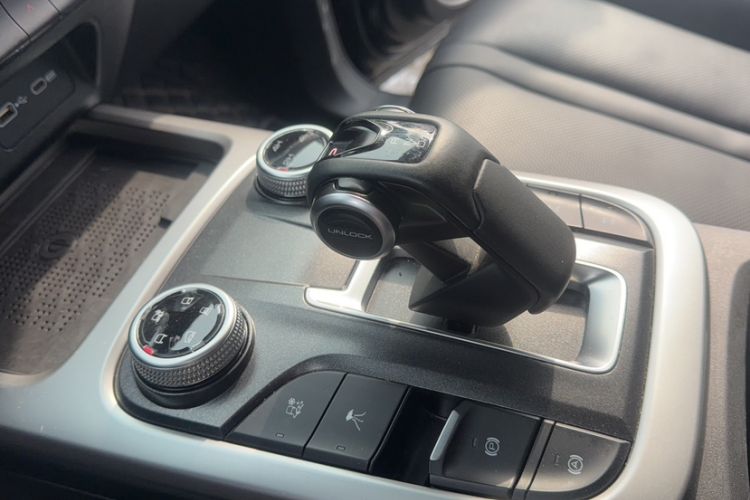 Used Tank 300 2024 2.0T Conqueror
