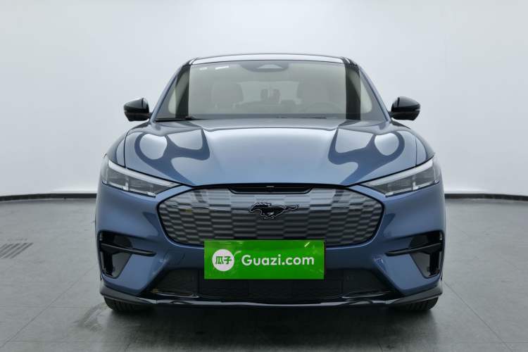 Used Ford Mustang Mach-E 2021 AION Y Plus Rear-Drive Luxury Edition (Long Range)
