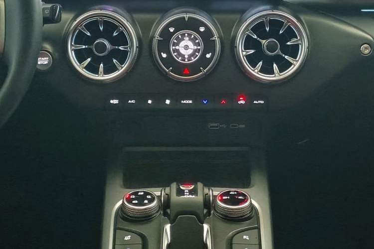 Used Tank 300 2024 2.0T Conqueror