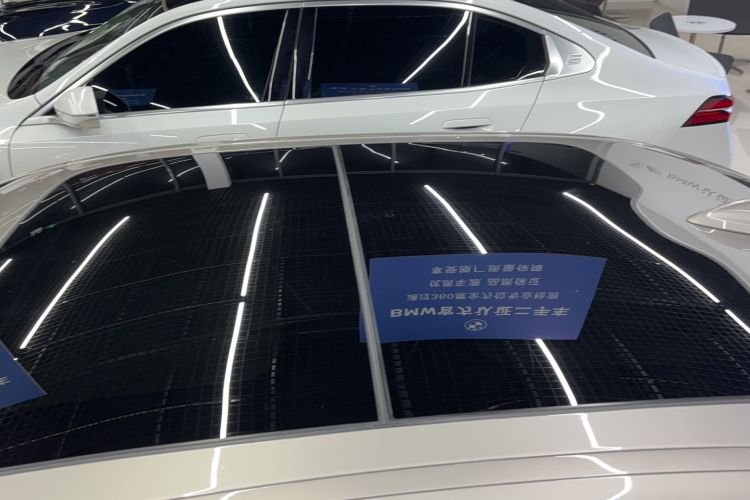 Used BMW 5 Series New Energy 2019 530Le Luxury Package