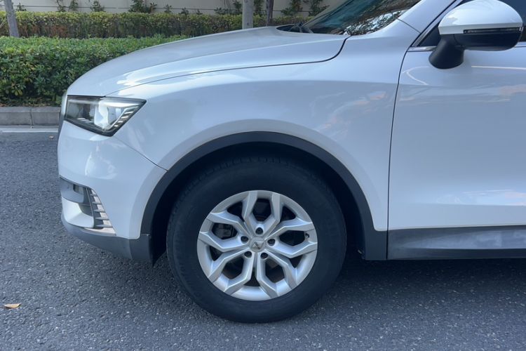 Used BORGWARD BX5 2017 20TGDI Automatic Two-Wheel Drive Pioneer Edition
