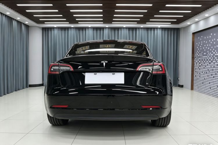 Used Tesla Model 3 2021 Standard Range Rear-Drive Upgraded Version Exterior 6