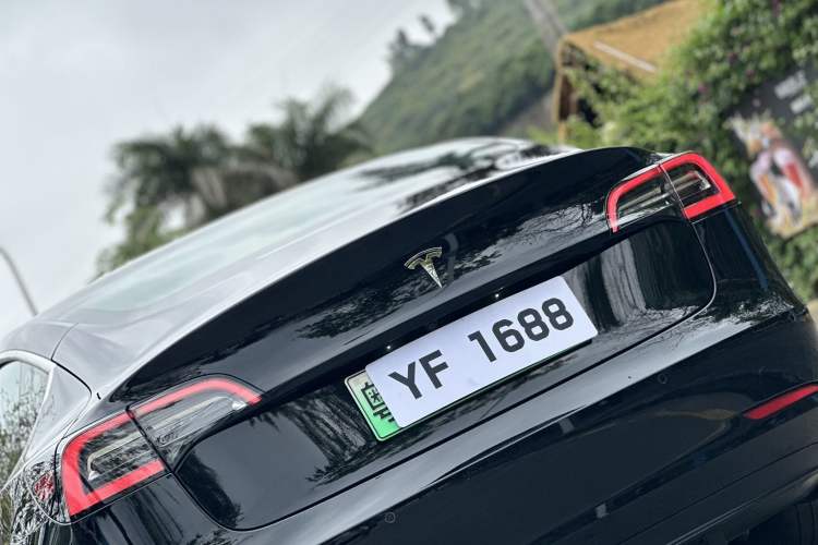 Used Tesla Model 3 2019 Long-Range Rear-Wheel-Drive Version Exterior 7