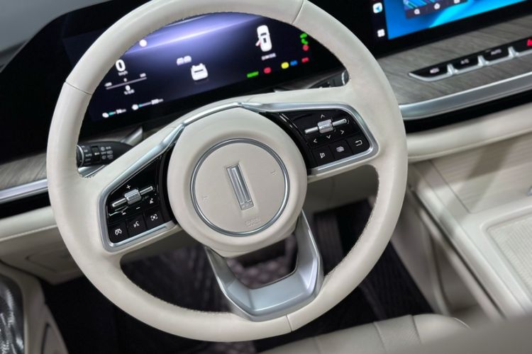 Used Wey Lanshan 2023 Two-Wheel Drive Long-Range Version