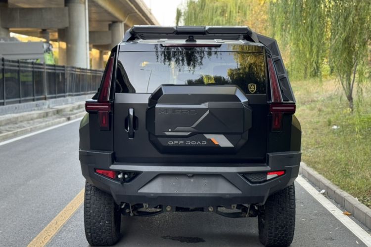 Used Brave warrior 917 2023 Pure Electric Base Model
