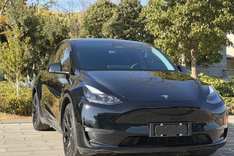 Used Tesla Model Y 2022 Long-Range All-Wheel-Drive Version