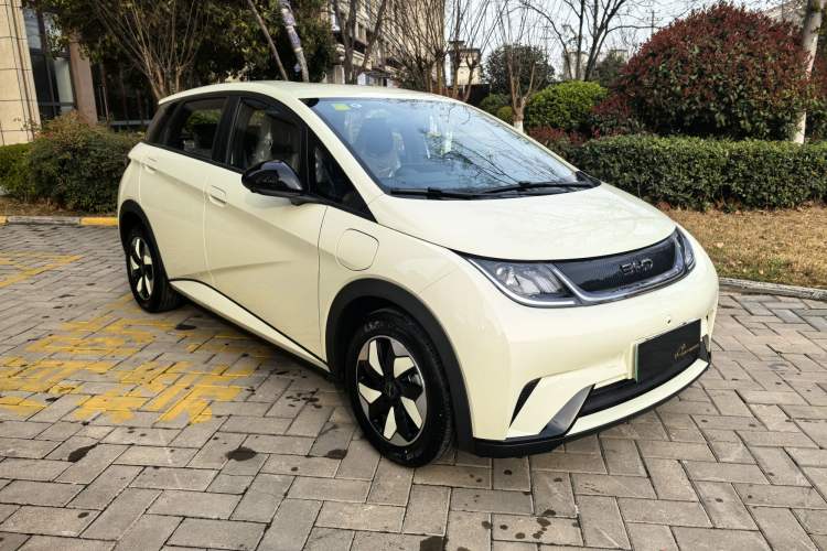 Used BYD Dolphin 2025 420km Free Edition
