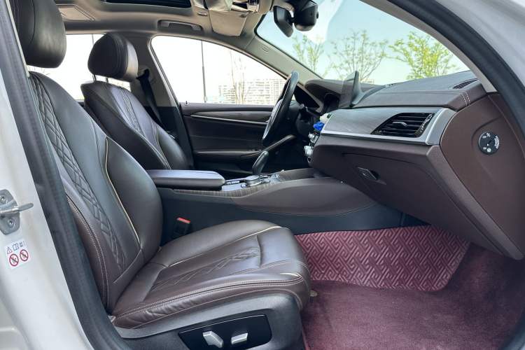 Used BMW 5 Series New Energy 2020 Mileage Upgrade Version 530Le Luxury Package Interior 7