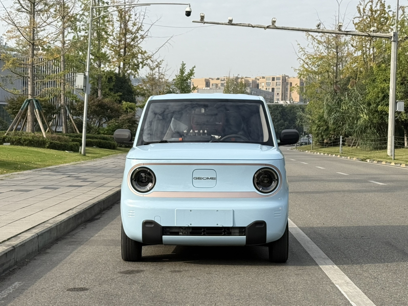Geely Galaxy Panda 2023 Panda Mini 200km Endurance Bear — снимка 15