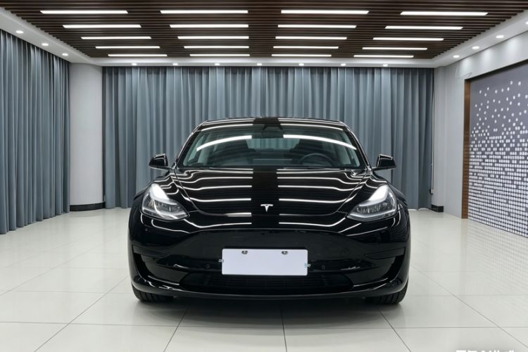 Used Tesla Model 3 2021 Standard Range Rear-Drive Upgraded Version Exterior 4