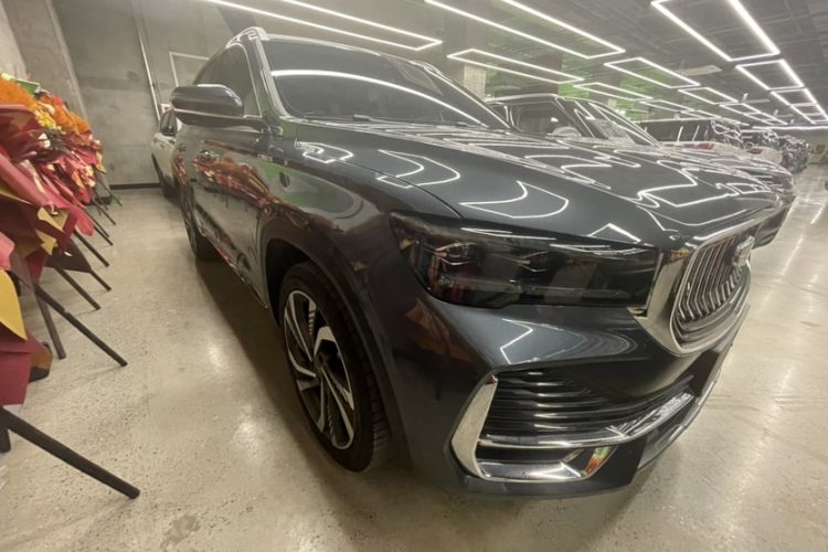 Used Geely Auto Monjaro L 2024 2.0TD High-Power Automatic Two-Wheel Drive Skyline Edition
