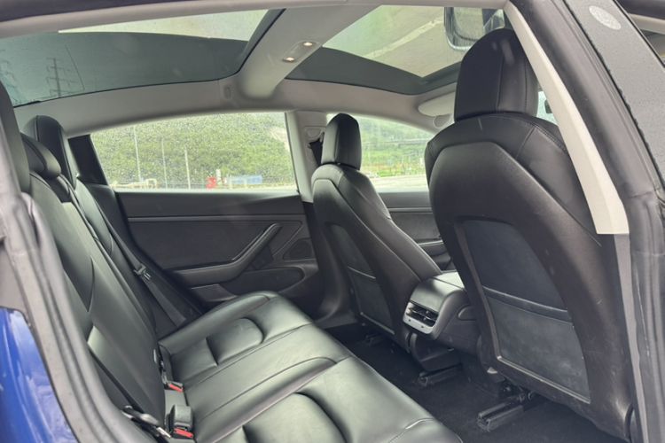 Used Tesla Model 3 2019 Standard Range Rear-Drive Upgraded Version