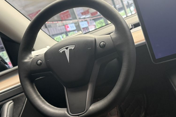 Used Tesla Model Y 2021 Standard Range Rear-Wheel Drive Version