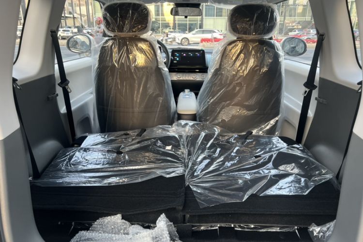 Used Qiyuan Lumin 2025 205 km Xiangqin Version
