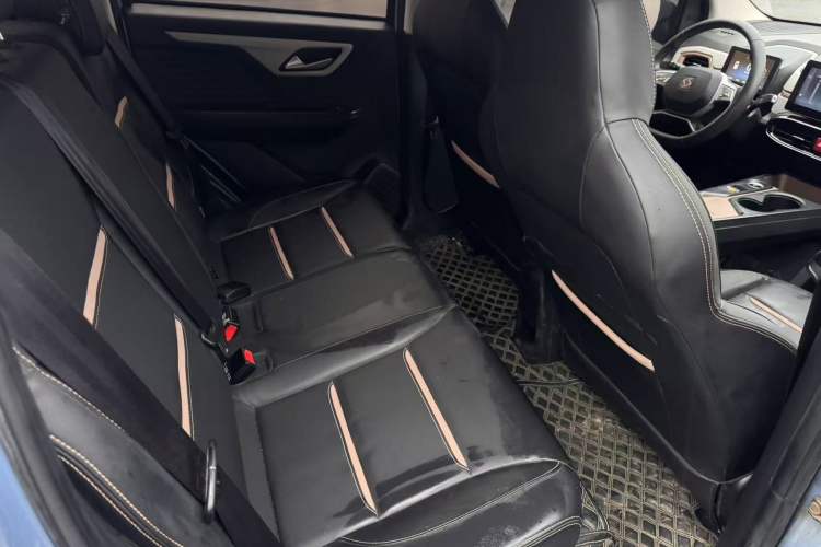 Used SOL E10X 2022 Flower Fairy Design Four-Leaf Clover