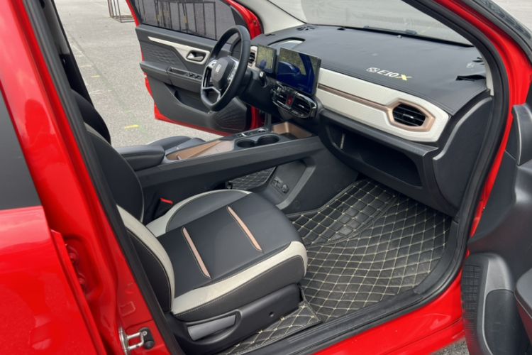 Used SOL E10X 2022 Flower Fairy Style Baby's Breath