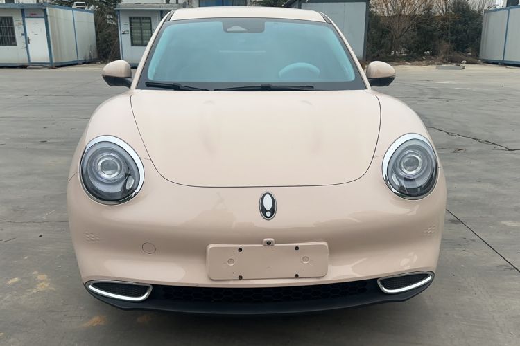 Used ORA Good Cat 2023 401 km Standard Range Luxury Version Ternary Lithium
