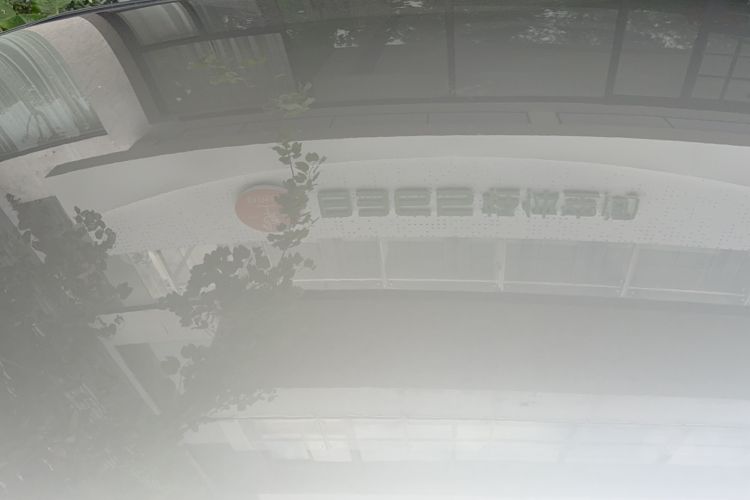 Used Lexus NX 2023 350h Front-Wheel-Drive Xinchichi Version
