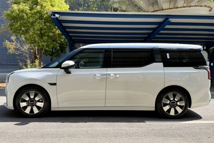 Used Zeekr 009 2022 WE Edition Exterior 5