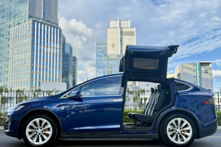 Used Tesla Model X 2019 Long-Range Version