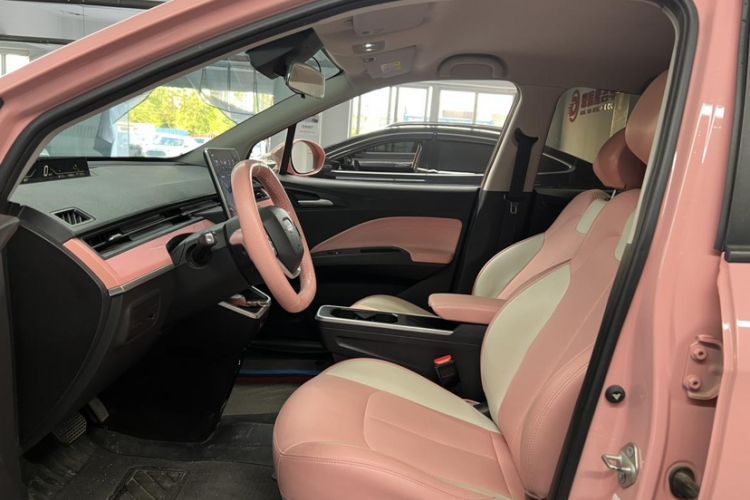 Used NETA V 2021 Witch Edition
