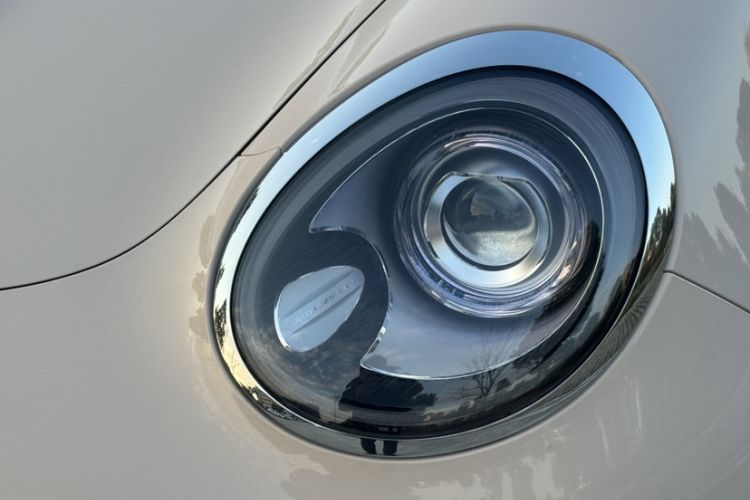 Used ORA Good Cat 2023 401 km Standard Range Luxury Version Lithium Iron Phosphate
