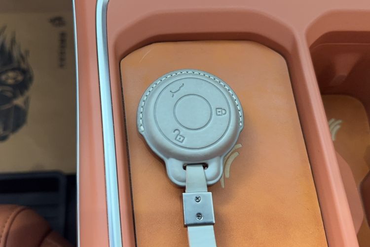 Used NETA L 2024 Extended-Range 310 Flash-Charge Red Edition Interior 4