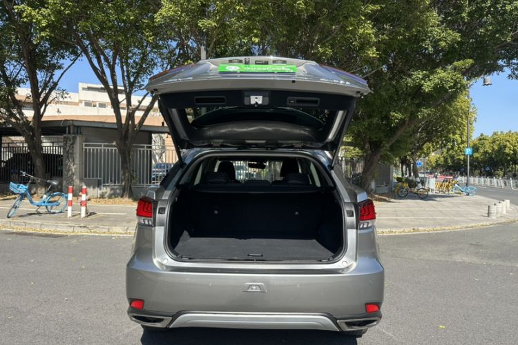 Used Lexus RX 2020 Revised Version 300 Two-Wheel Drive Elite Edition