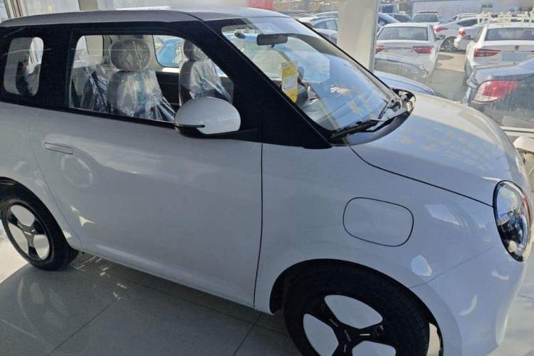 Used CHANGAN Lumin 2022 301km Honey-Sweet Version Exterior 4