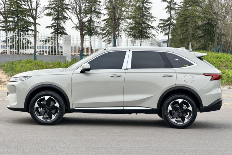 Used Haval H6L 2026 Model 2.0T Max Exterior 3