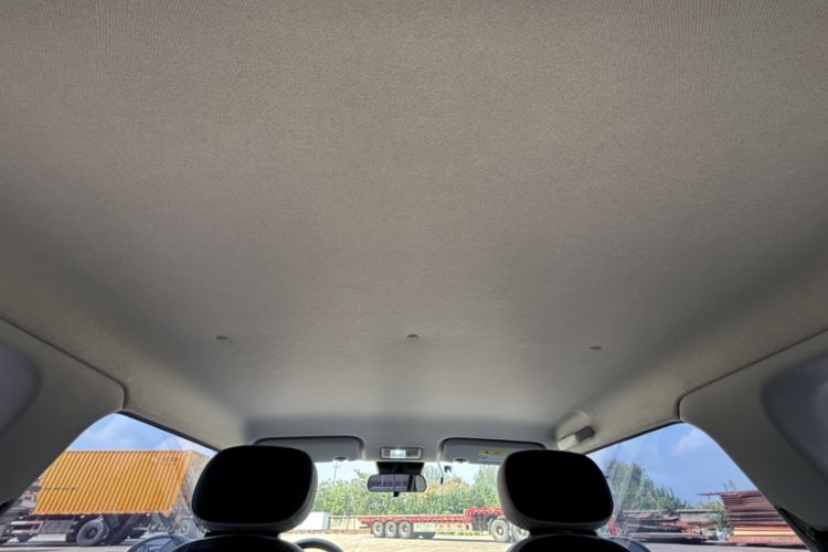 Used Qiyuan Lumin 2022 301km Honey-Sweet Version
