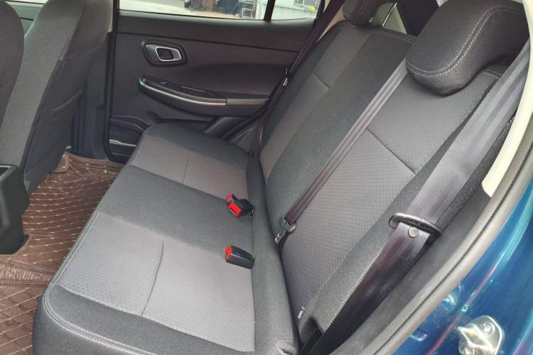 Used Dayun Yuehu 2022 30.66 kWh Two-Wheel Drive Standard Version
