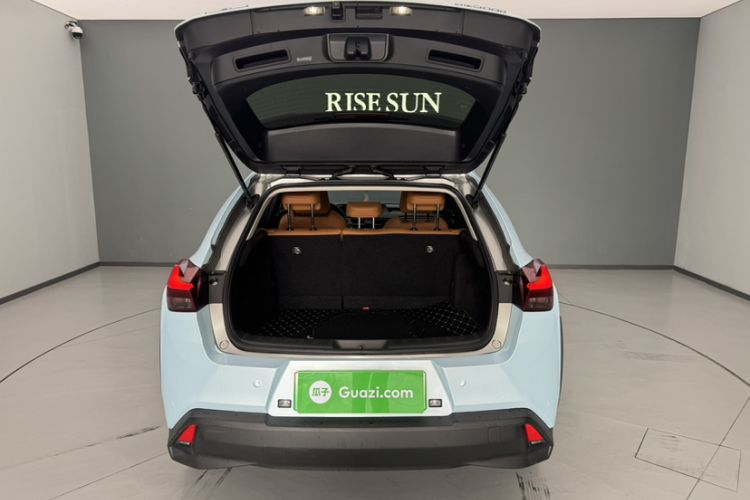 Used Lexus UX New Energy 2020 300e Pure·Enjoy Edition