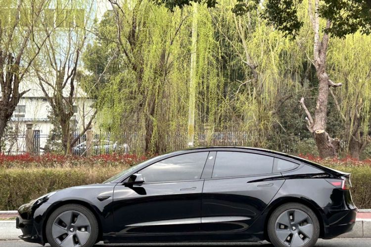 Used Tesla Model 3 2021 Standard Range Rear-Wheel Drive Upgraded Version 3D6
