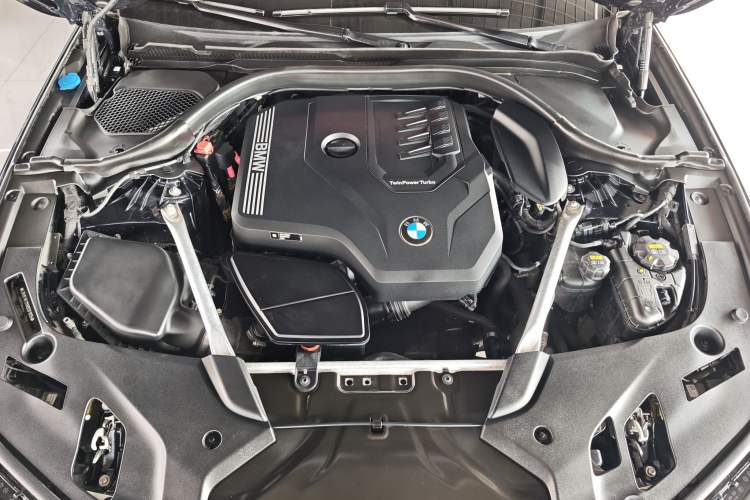 Used BMW 5 Series 2021 530Li Leading Luxury Package