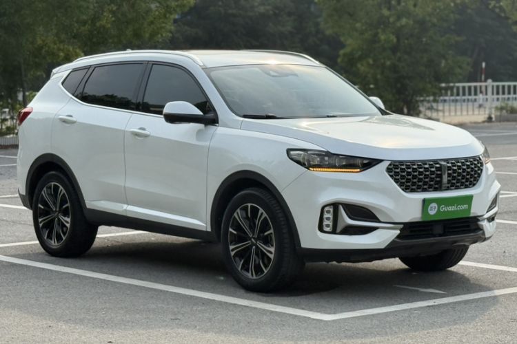 Used Wey VV6 2021 2.0T Two-Wheel Drive Smart Plus