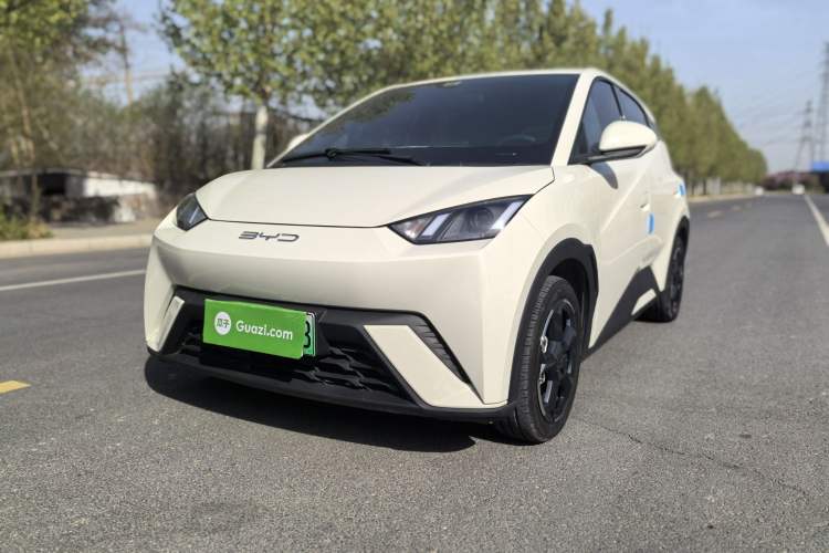 Used BYD Seagull 2023 Free Edition Exterior 3