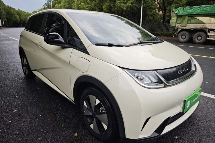 Used BYD Dolphin 2023 420 km Free Version