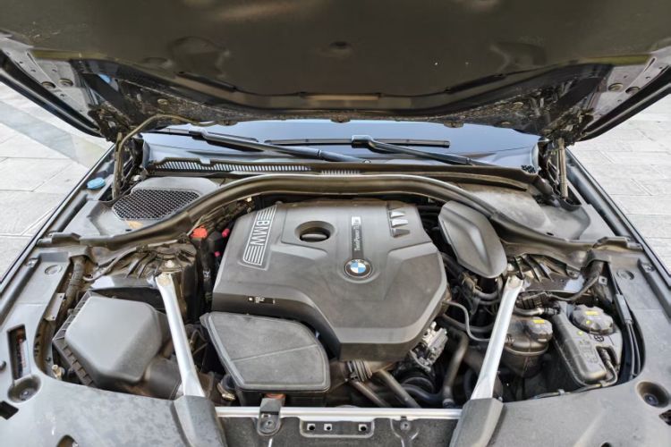 Used BMW 5 Series 2019 Facelifted 530Li Leading Edition Luxury Package
