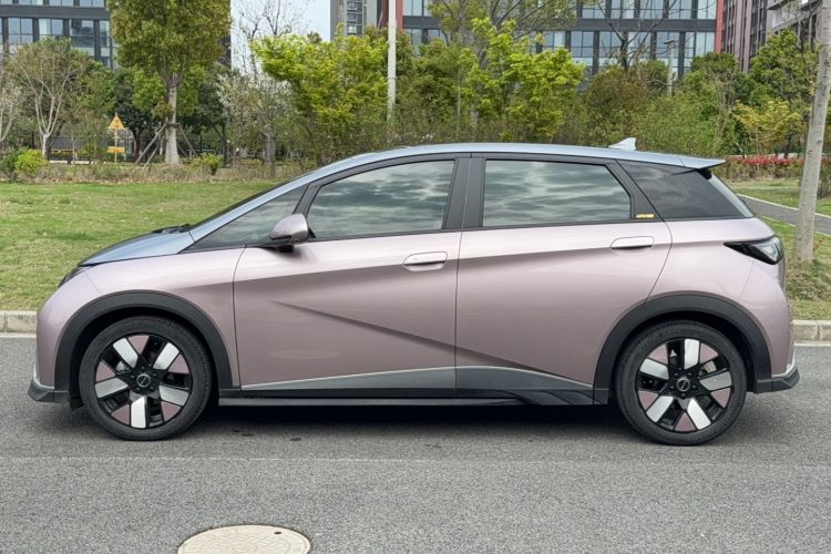 Used BYD Dolphin 2023 401km Knight Edition Exterior 3