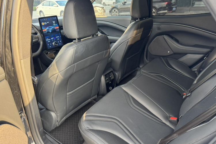 Used Ford Mustang Mach-E 2021 AION Y Plus Rear-Drive Luxury Edition (Long Range)