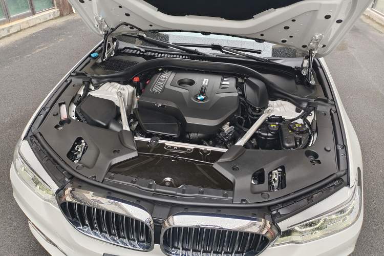 Used BMW 5 Series 2020 530Li Leading Edition Luxury Package