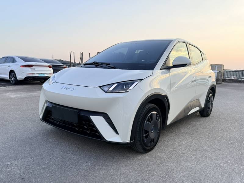 Used BYD Seagull 2024 Honor Edition 305km Dynamic Version — 11