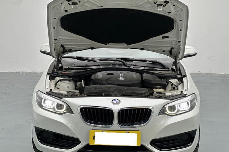 Used BMW 2 Series 2018 220i Sport Design Package