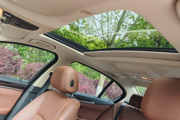 Used BMW 5 Series 2014 525Li Leading Model Headliner