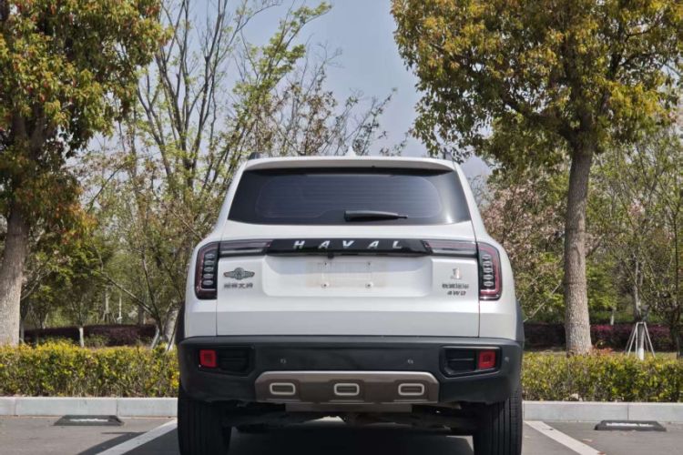 Used Haval DARGO 2022 1.5T DCT Two-Wheel Drive Labrador Edition
