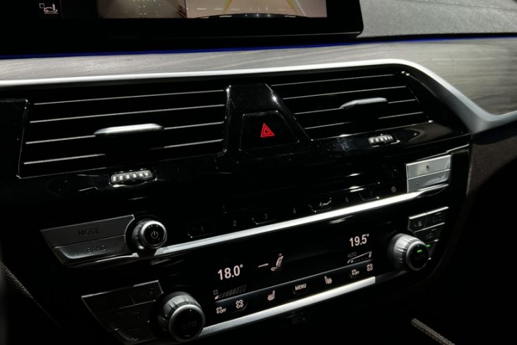 Used BMW 5 Series 2019 530Li Luxury Edition Premium Package